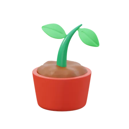Sprout  3D Icon