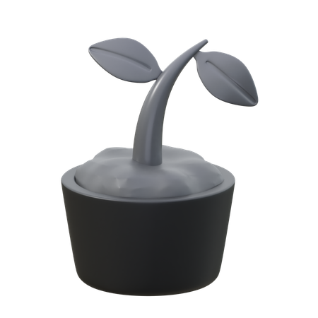 Sprout  3D Icon