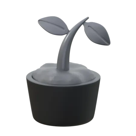 Sprout  3D Icon