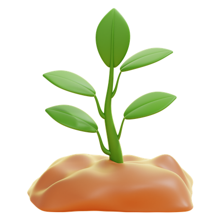 SPROUT  3D Icon