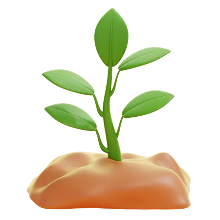 SPROUT  3D Icon