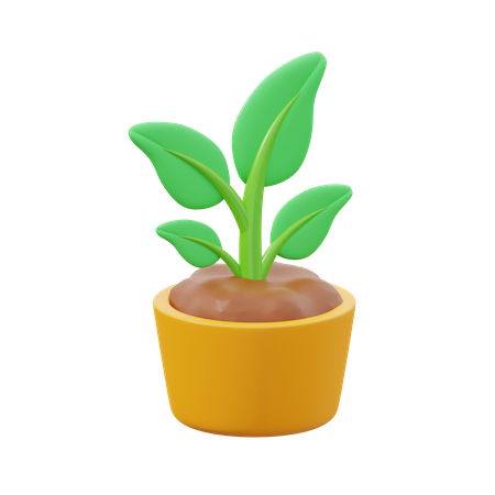 Sprout  3D Icon