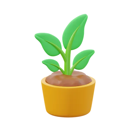 Sprout  3D Icon