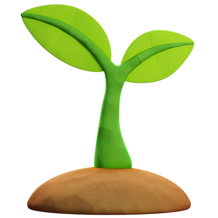 Sprout  3D Icon