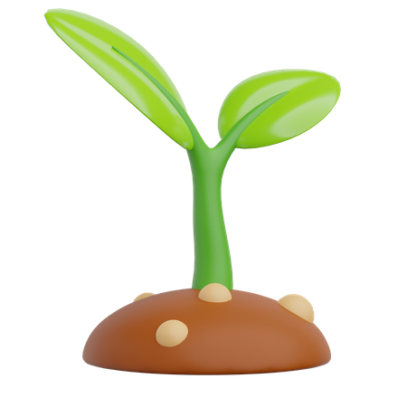 Sprout  3D Icon