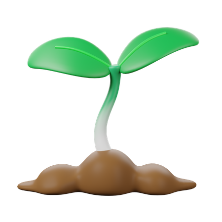 Sprout  3D Icon