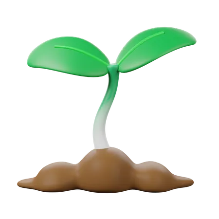 Sprout  3D Icon