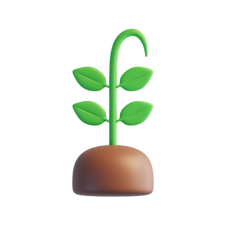 Sprout  3D Icon