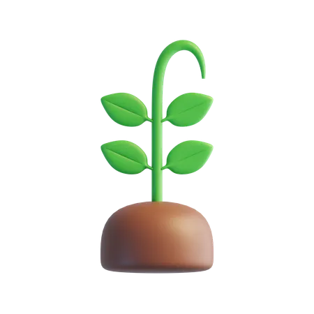 Sprout  3D Icon