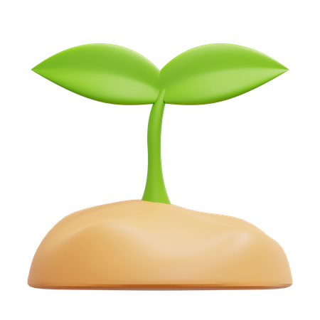 Sprout  3D Icon