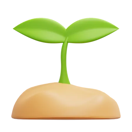 Sprout  3D Icon