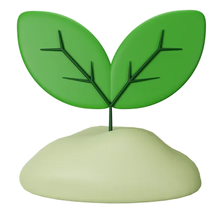 Sprout  3D Icon