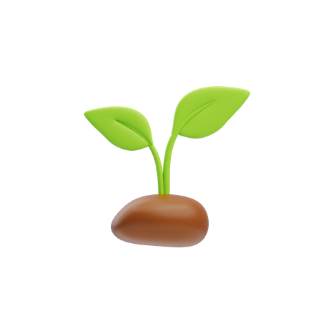 Sprout  3D Icon