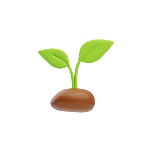 Sprout  3D Icon