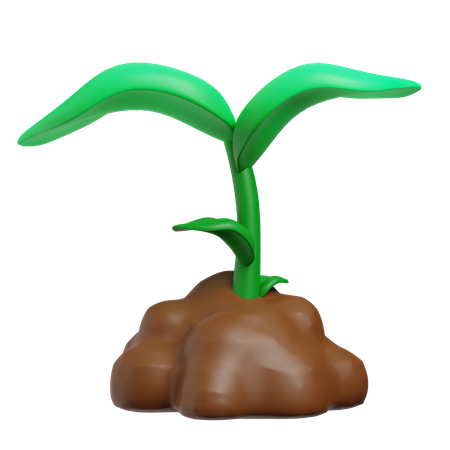 Sprout  3D Icon