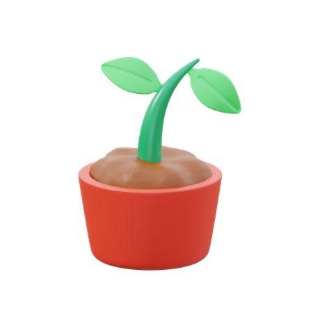 Sprout  3D Icon