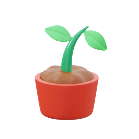 Sprout  3D Icon