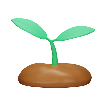 Sprout 3 D Spring 3D Icon