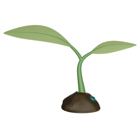 3 D Sprout Illustration 3D Icon