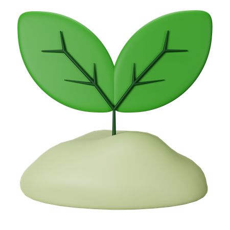 Sprout  3D Icon