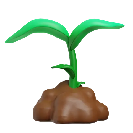 Planting Plant On A Soil 3D Icon