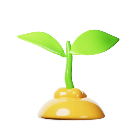 Sprout Plant  3D Icon