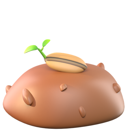 Sprouted Seeds  3D Icon