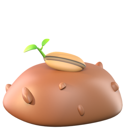 Sprouted Seeds  3D Icon