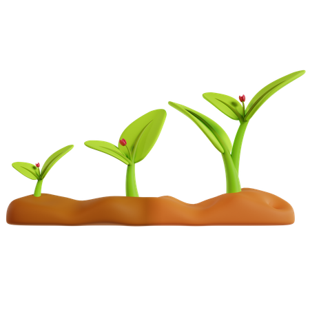 Sprouting Green Plants  3D Icon