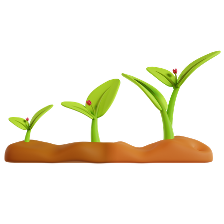 Sprouting Green Plants  3D Icon