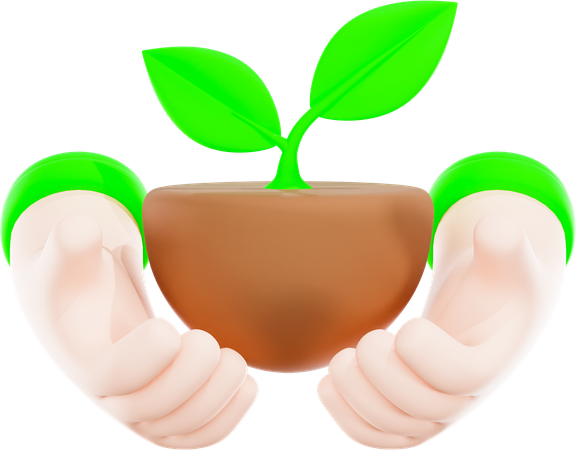 Sprouting Plant  3D Icon