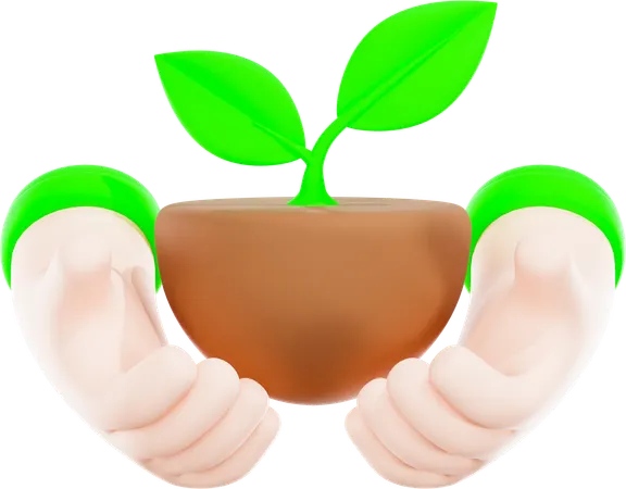 Sprouting Plant  3D Icon