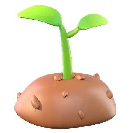 Sprouts  3D Icon
