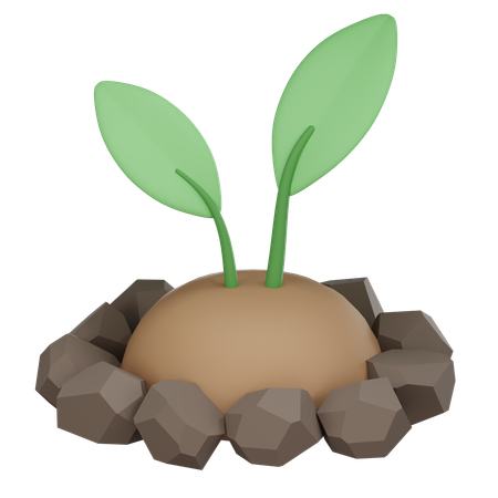 Sprouts  3D Icon