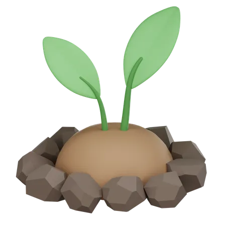 Sprouts  3D Icon