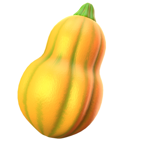 Squash  3D Icon