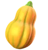 Squash