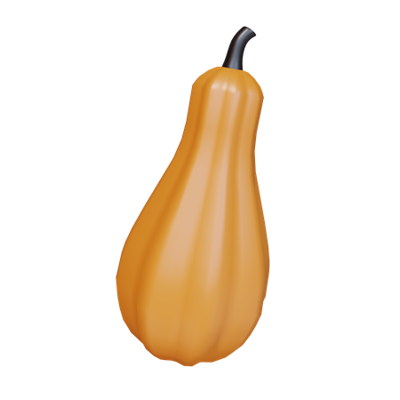 Squash  3D Icon