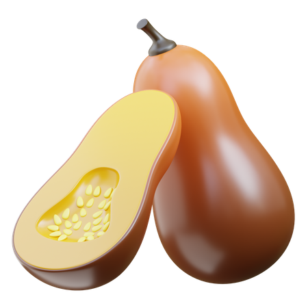 Squash  3D Icon