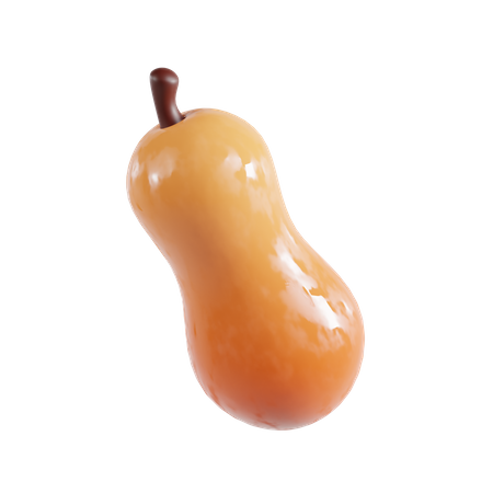 Squash  3D Icon