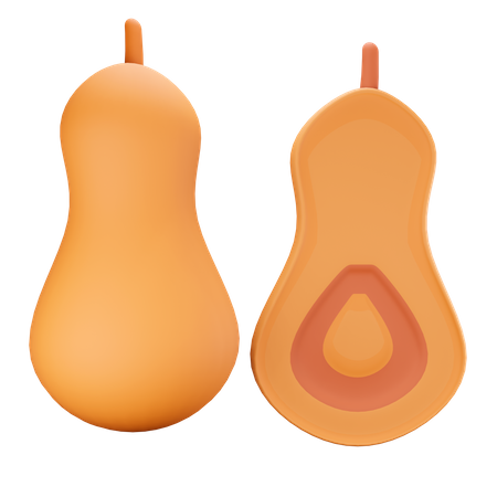 Squash  3D Illustration