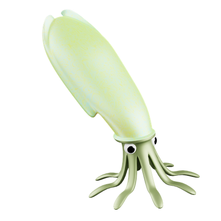 Squid  3D Icon