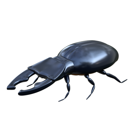 Stag Beetle  3D Icon
