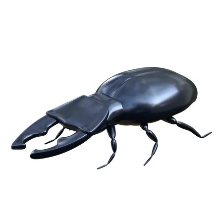 Stag Beetle 3 D Insect Illustration 3D Icon