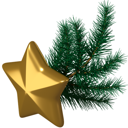 Star Branch for Christmas 3D Illustration
