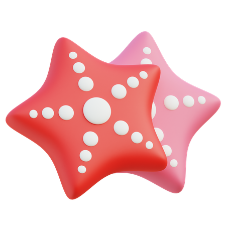 Star Fish  3D Icon