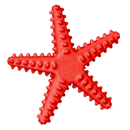 Star Fish  3D Icon