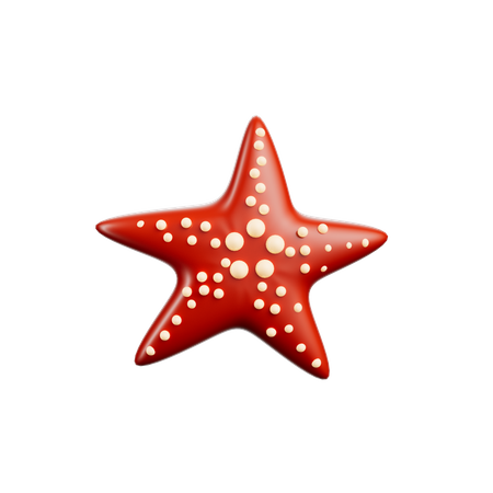 Star Fish  3D Icon