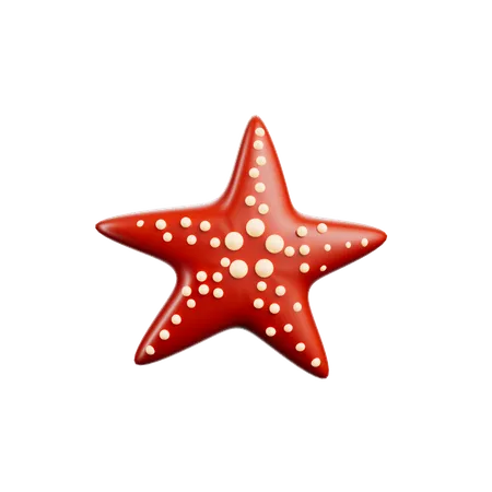 Star Fish  3D Icon