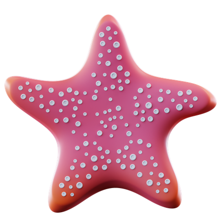 Star Fish  3D Icon